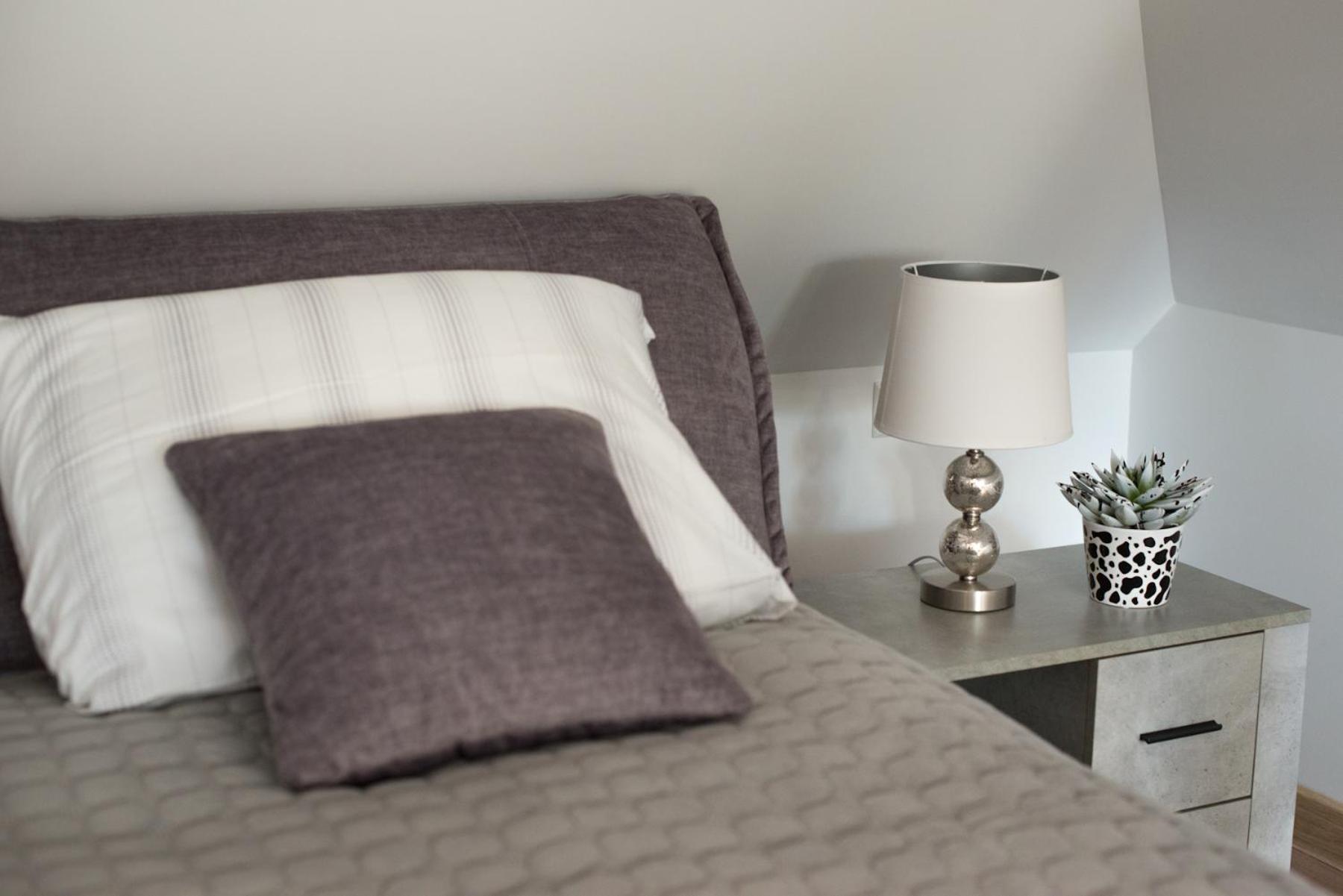 Petro Delux Apartments Kaunas Ngoại thất bức ảnh