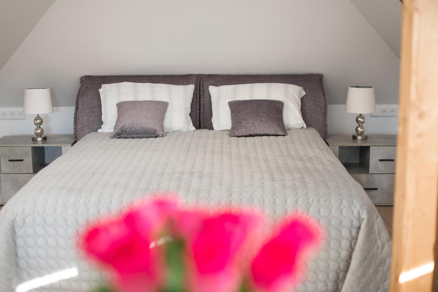 Petro Delux Apartments Kaunas Ngoại thất bức ảnh